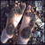 :icondirty-foot-lover: