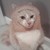 :icondirtybertie808: