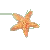 :icondirtystarfish: