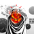 :icondisasion: