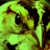 :iconDisassemblyRequired: