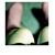 :icondisasterland: