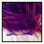:icondisco-bunny: