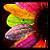 :icondisco-stu77: