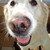 :icondiscocisco61688: