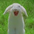 :icondiscoww:
