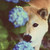 :icondisenble-fr: