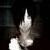 :icondisharmony100: