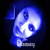 :icondismaywilde: