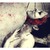 :icondismembered-euphoric: