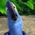 :icondisneygirl16: