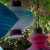 :icondisneylander360: