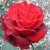 :icondisplaced-space: