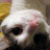:icondisposableactor:
