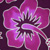 :icondissentient:
