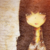 :icondissizdaisy: