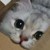 :icondistancedreamer: