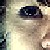 :icondistortedminds: