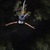 :icondisturbed-entity: