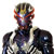 :icondit-haru: