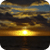 :icondit-zy: