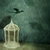 :icondivablackheart: