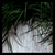 :icondivanartem: