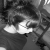 :iconDivided-ByThe-Bullet: