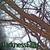 DivineSymphony9412 :icondivinesymphony9412: