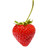 :icondixnat: