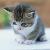 :iconDIY-Mystery-Theatre: