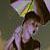 :icondizymizlizy13: