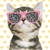 :icondizzy-dizzy: