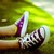 :icondizzy-izzy19: