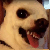 Dizzy-XD :icondizzy-xd: