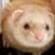 :icondizzy-zzz: