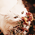 :icondizzyette: