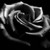 :icondizzynothings: