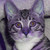 :icondj-digit-777: