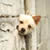 :icondj-luna: