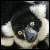 :icondj-neon-90: