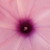 :icondj11zz98: