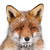 :icondjabirjun: