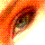 :icondjarek:
