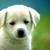 :icondjblack1344:
