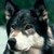 :icondjcooper2234:
