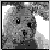 :icondjmsms13:
