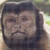 :icondjnix666: