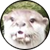 :iconDjNorEmaC: