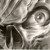 :icondjokerz: